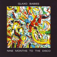 Glaxo Babies, Nine Months To The Disco