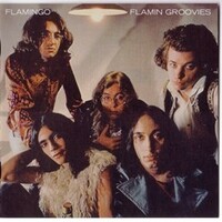 Flamin' Groovies, Flamingo