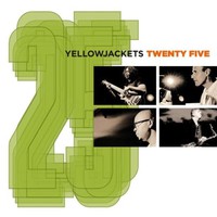 Yellowjackets, Twenty Five