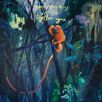 Bonnie Prince Billy, We Are Together Again