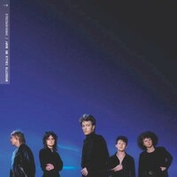 Brigitte Calls Me Baby, Irreversible