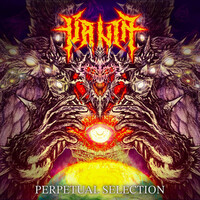 Vanta, Perpetual Selection