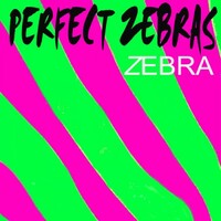 Perfect Zebras, Zebra