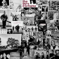 The Wave Pictures, Gained / Lost