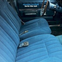 Charlotte Cornfield, Hurts Like Hell