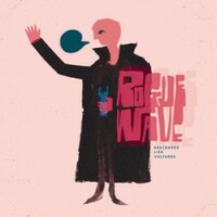 Rogue Wave, Descended Like Vultures (20th Anniversary Director's Cut)