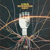 Elmulab, Microprocessor 8080A