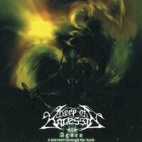 Keep of Kalessin, Agnen: A Journey Through the Dark