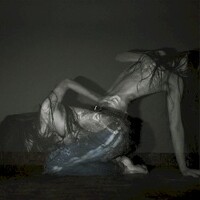 Sofia Isella, Something Is a Shell.