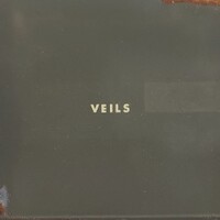 Vanessa Carlton, Veils