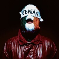 Kneecap, Fenian