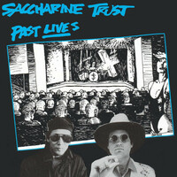 Saccharine Trust, Past Lives