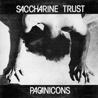 Saccharine Trust, Paganicons