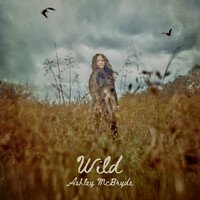 Ashley McBryde, Wild