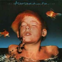 The Parachute Club, At The Feet Of The Moon