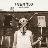 Mick Flannery, I Own You