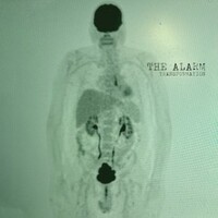 The Alarm, Transformation