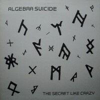 Algebra Suicide, The Secret Like Crazy