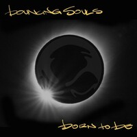 The Bouncing Souls, Born To Be