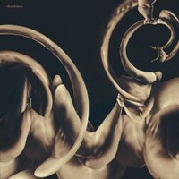 Siamese, Dissolution