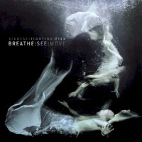 Siamese Fighting Fish, Breathe:See:Move