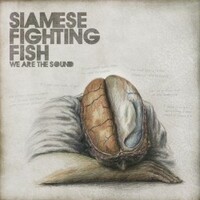 Siamese Fighting Fish, We Are the Sound