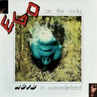 Ego on the Rocks, Acid in Wounderland