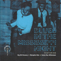 Memphis Slim, Big Bill Broonzy & Sonny Boy Williamson, Blues in the Mississippi Night