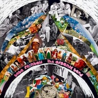 Babe Rainbow, The Organic Band