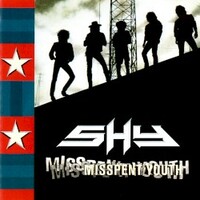 Shy, Misspent Youth