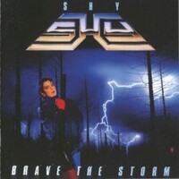 Shy, Brave The Storm