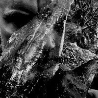 Taake, En skog av nidstang