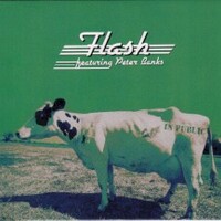 Flash, In Public