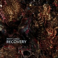 Matt Lange, Recovery