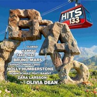 Various Artists, Bravo Hits 133