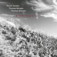 Ayumi Tanaka, Thomas Morgan & Thomas Stronen, Windflower