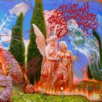 Killing of a Sacred Deer, Encephalic Angels