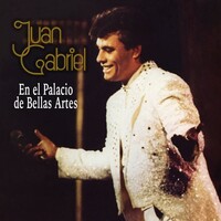 Juan Gabriel, En el Palacio de Bellas Artes