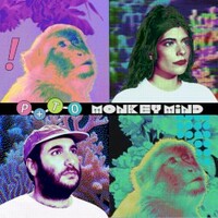 Pearl & The Oysters, Monkey Mind