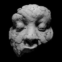 Joy Oladokun, Observations From a Crowded Room