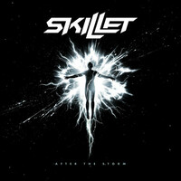 Skillet, After The Storm
