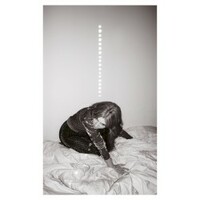 Julia Holter, Materia