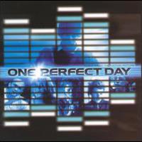 One Perfect Day