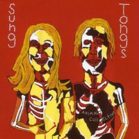 Animal Collective, Sung Tongs