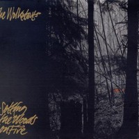 The Walkabouts, Setting the Woods on Fire