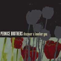 Pernice Brothers, Discover a Lovelier You