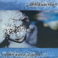 The Pineapple Thief, Variations on a Dream