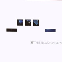 BT, This Binary Universe