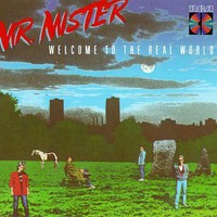 Mr. Mister, Welcome to the Real World