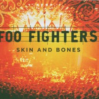 Foo Fighters, Skin and Bones